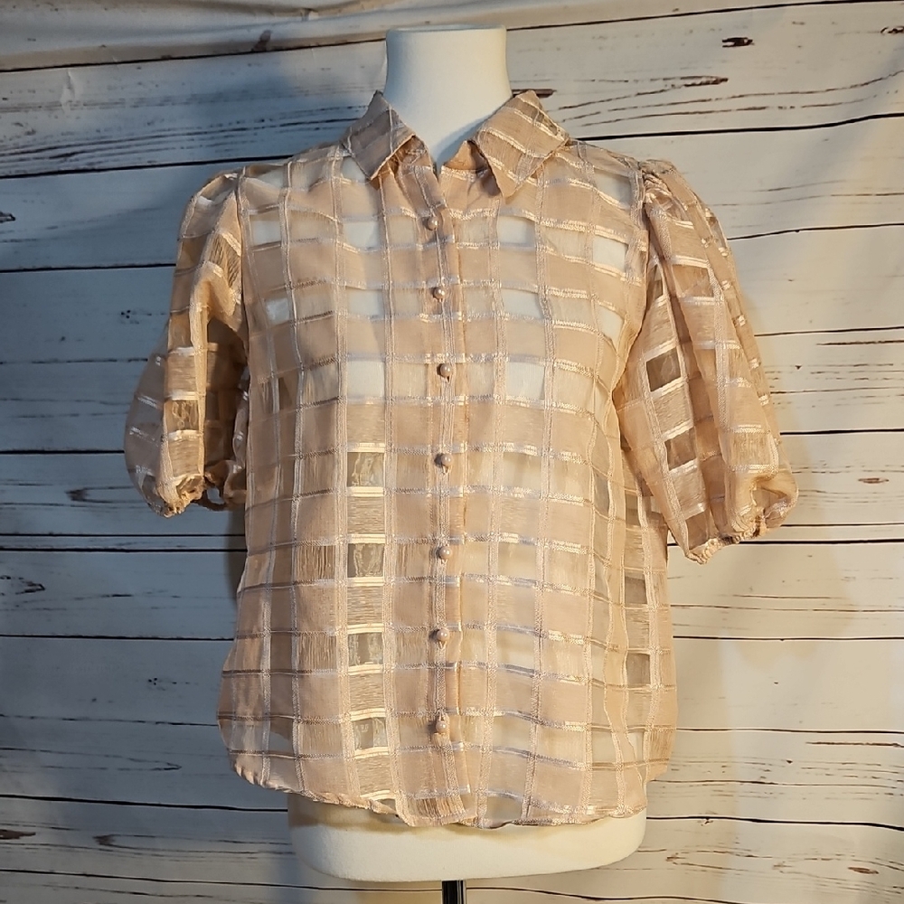 Haute Monde Pink Organza Boxy Blouse with Dress Shirt Collar, Size M